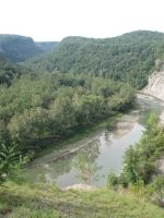 The Genessee River at Letchworth